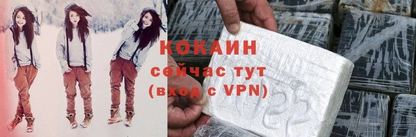 стафф Алзамай