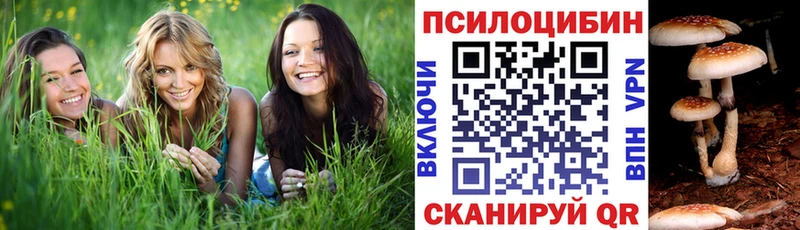 MEGA ссылки  Тулун  Галлюциногенные грибы Psilocybe 