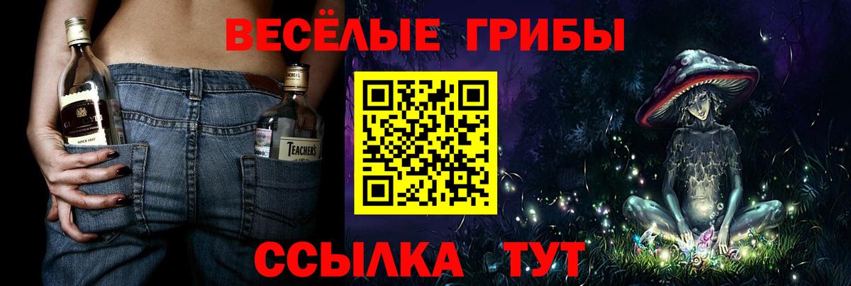 Галлюциногенные грибы мухоморы Тулун