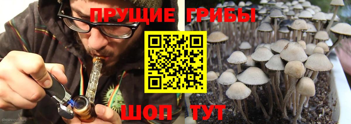 Тулун  Псилоцибиновые грибы ЛСД  Вход с VPN 